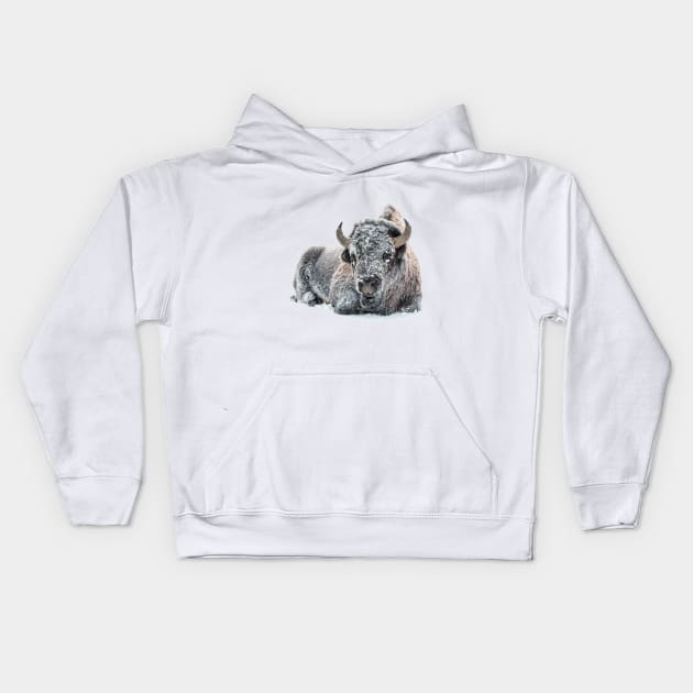 Image: Bison in snow Kids Hoodie by itemful